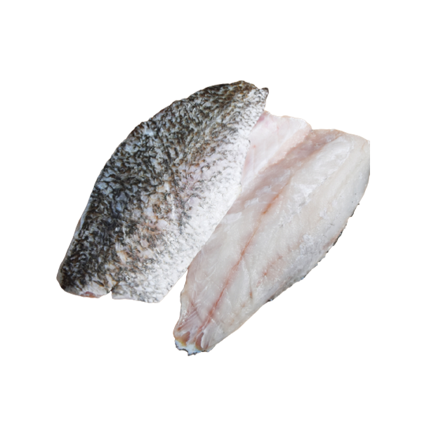 Barramundi Fillets
