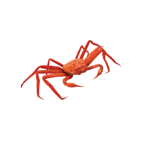 Red Snow Crab Whole