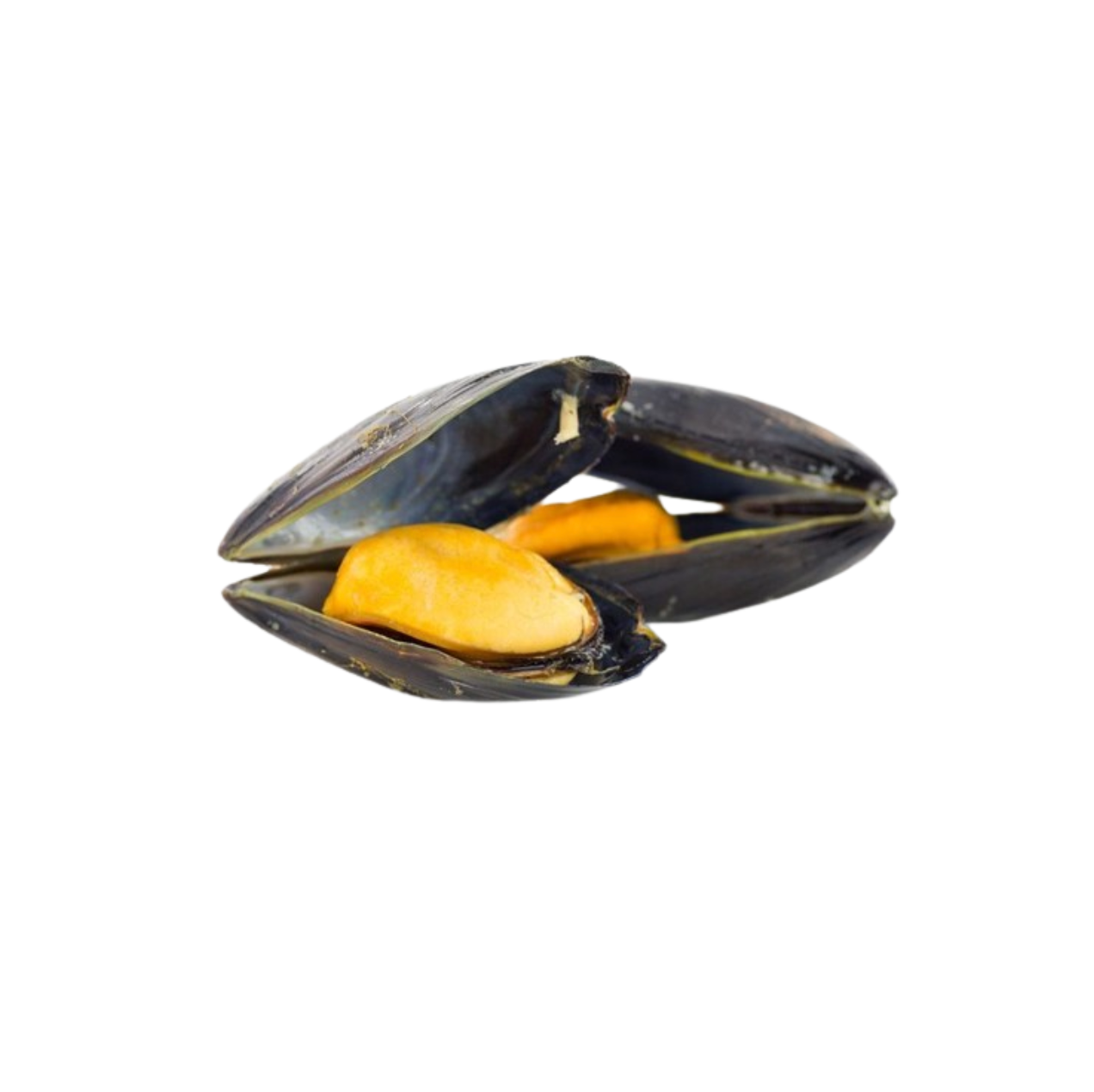 Chilean Mussel Whole-shell