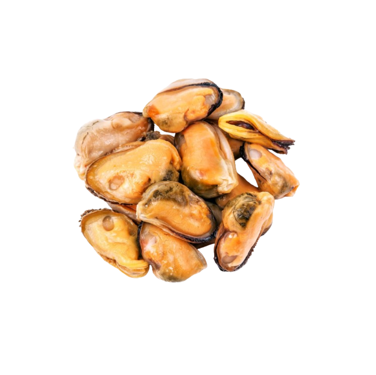 Chilean Mussel Meat